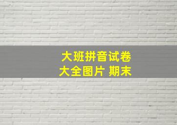 大班拼音试卷大全图片 期末